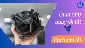 quat